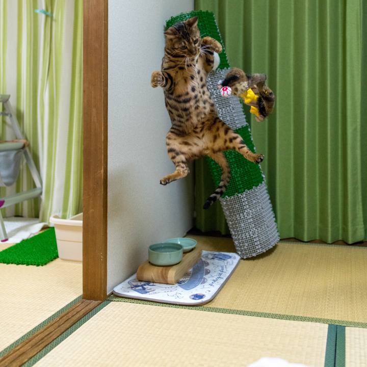 Ad1df9e0 45cc 47f6 bc62 cc674aefa6cf 1518102118476