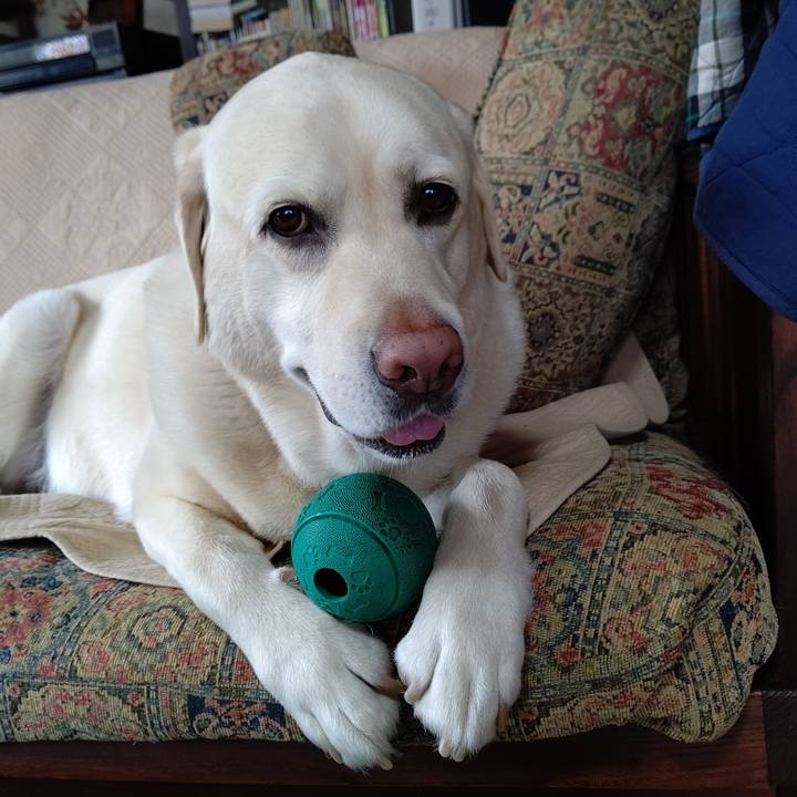 Ad1e02ec 5d0b 4420 8a5d fdcb72dd7e0f 1683421735723