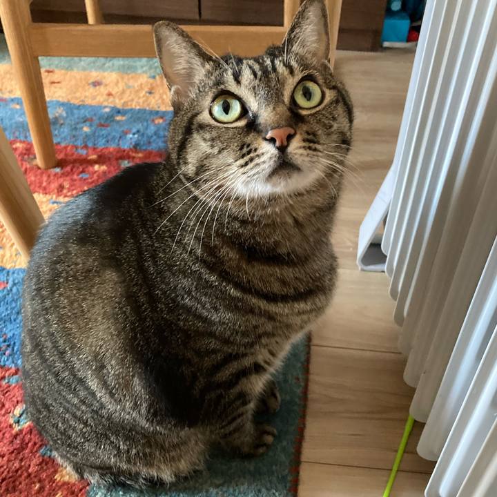 Ad1e04e9 1477 4968 b7fc dbdeb432928b 1705190019165