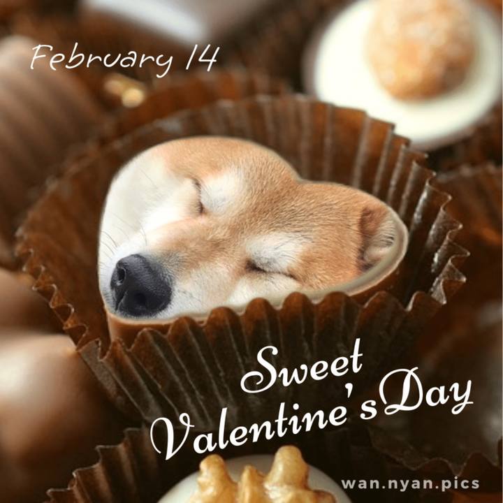 Ad1e2ec5 42ad 483a 81e0 d3b5d0c231e0 1676350697006