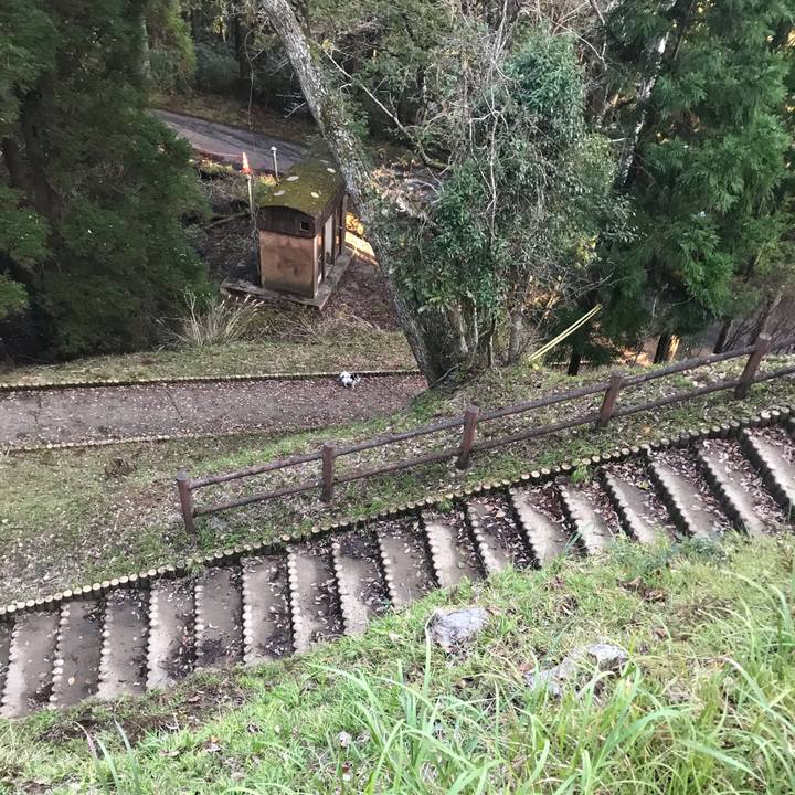 Ad1e3117 8544 4c1b 839a 83f92503fbc1 1636366320210