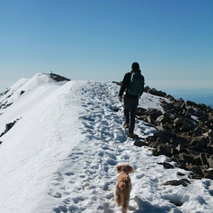 Ad1e4a00 001e 429e ab1a bbaed3a85624 1560185163966