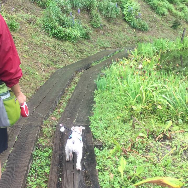 Ad1e59b7 095f 4a5a b2d9 acb267027661 1535968977411