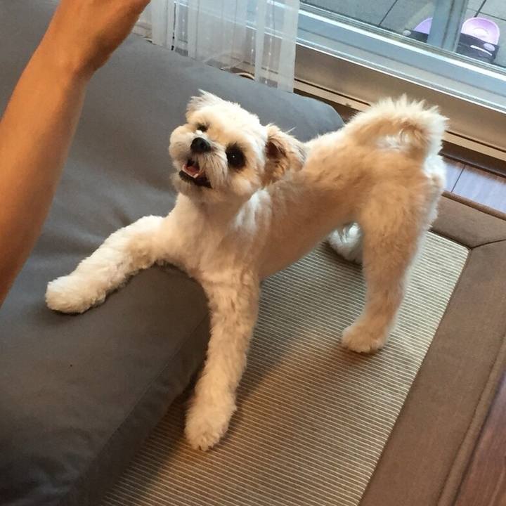 Ad1e8547 e747 4644 b7bd 8a82a3d8ee3d 1535535750334