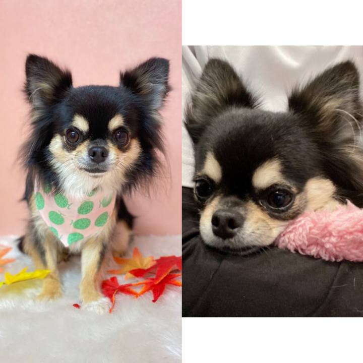 Ad1e97d6 6da8 45fb 99e8 b189e7db4173 1604646723977