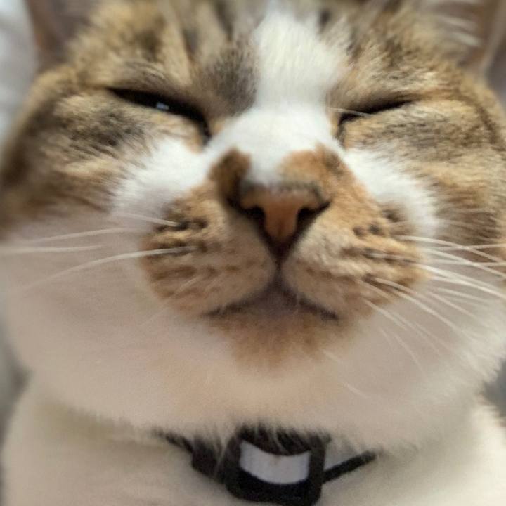 Ad1f184a 00c8 48d9 946e 5a48127669cd 1603196660677