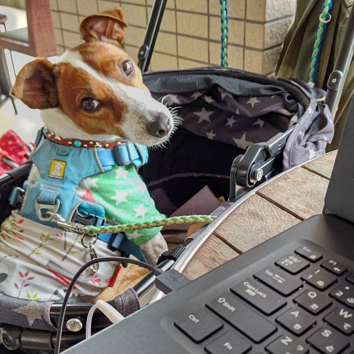 Ad1f1910 a92d 4031 80ff 2cfd56bf3f59 1634014180012