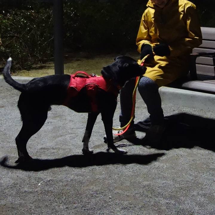 Ad1f6d5b 07cd 4baf 962e 1d183861bddc 1583507555465