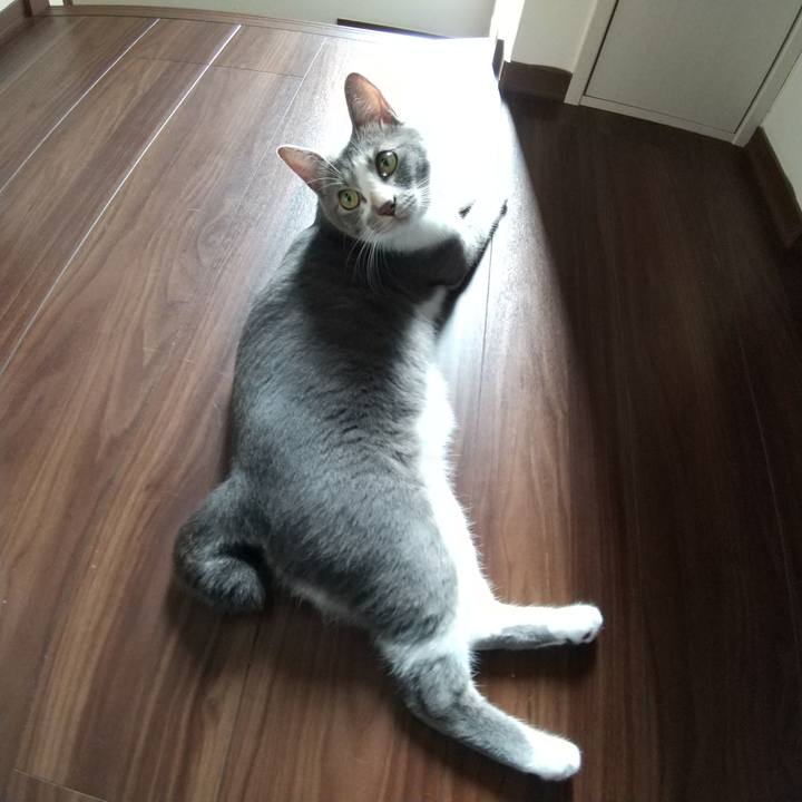 Ad1f9b7d 9fc0 476a 8388 f99c58932487 1596409173991