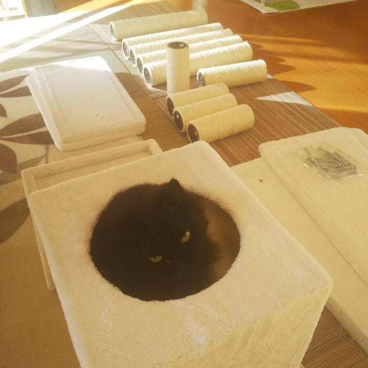 Ad1f9f6d aa33 4f14 a119 8def8735e2af 1545699493248