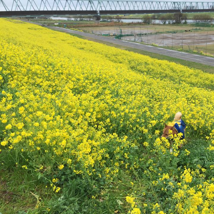 Ad1fa1a1 b08e 4391 aebb 2b8809fb3ef5 1616413464884