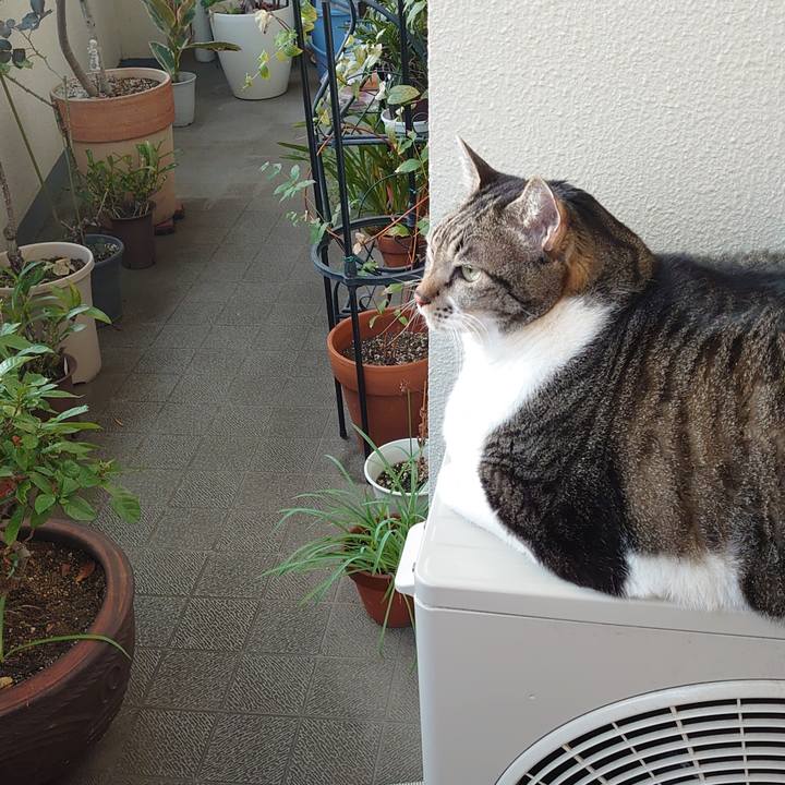 Ad1fb0f5 f83c 4ef1 bdcc d3428eccb092 1635729826690