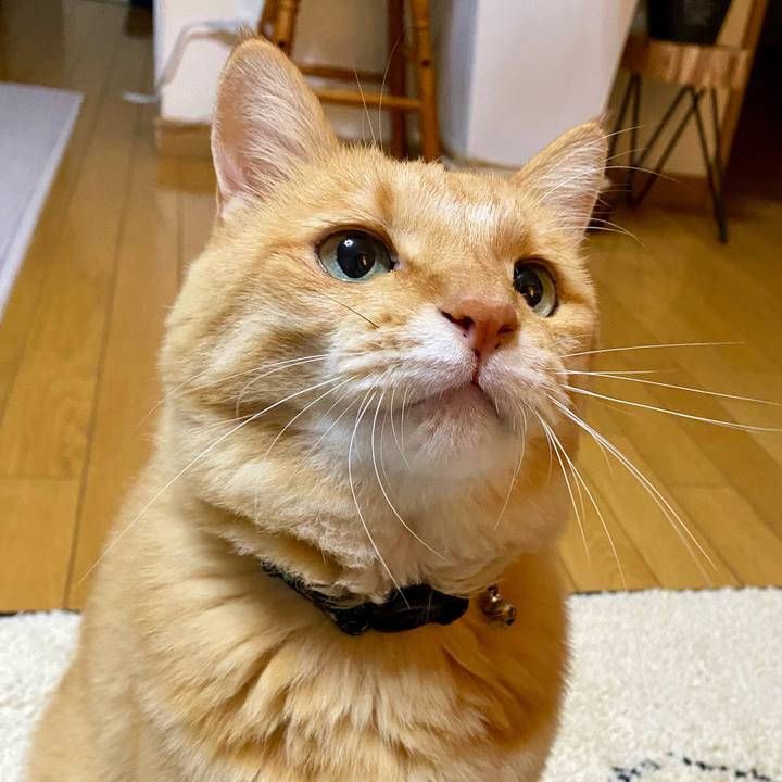 Ad1fc49c b301 429b 942a 74dfb6d35eee 1734690368676