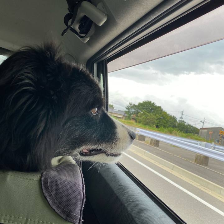 Ad1fd5e4 1a12 401f 8033 de754e4bb893 1663453674168