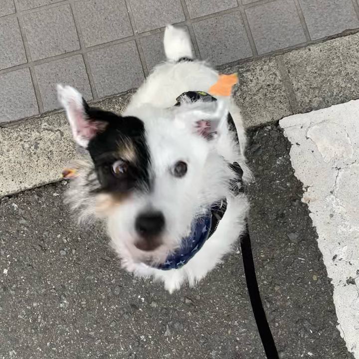 Ad1ff48a 5dfa 4889 a5cb d098d11f13b6 1722156430130