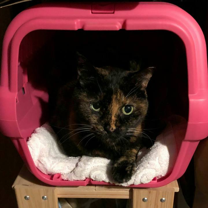 Ad201343 7459 4feb beb9 540d2540a514 1600999698909