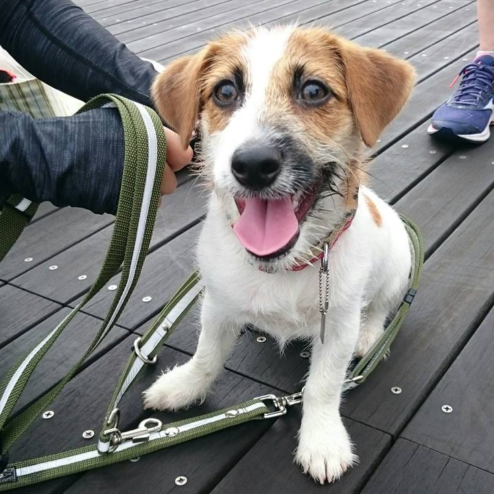 Ad201c6d 7962 47fa 9501 d12012eca279 1536583467002