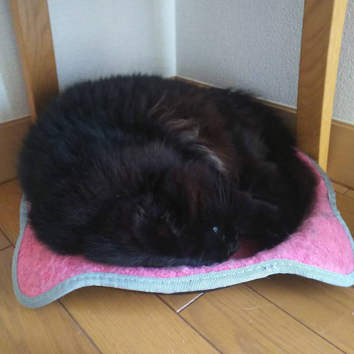 Ad20366c ab17 4729 8401 1bcacca7e55c 1559089053624