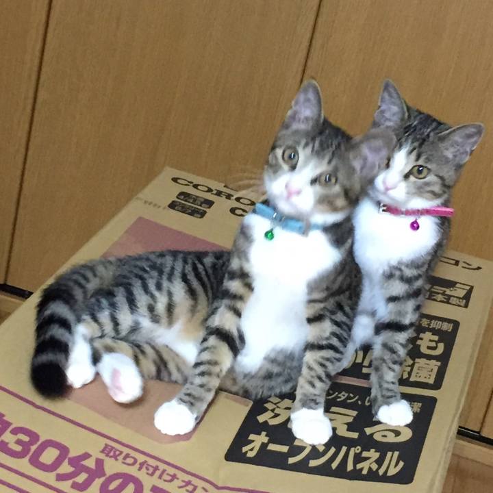 Ad203f8f 7f01 49bf a94c d9065f21a55c 1659398825795