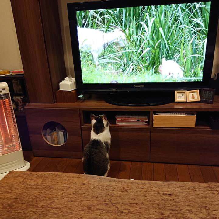 Ad2070bb d226 47a2 8385 ee0118a6c32c 1615303821083