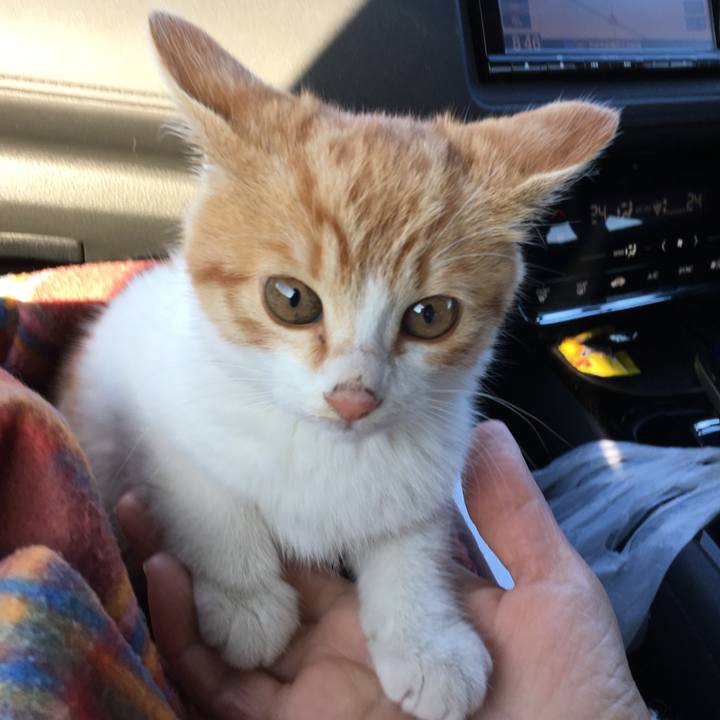 Ad207f2e 524b 407d 9b8f 60dac3316e80 1577683755132