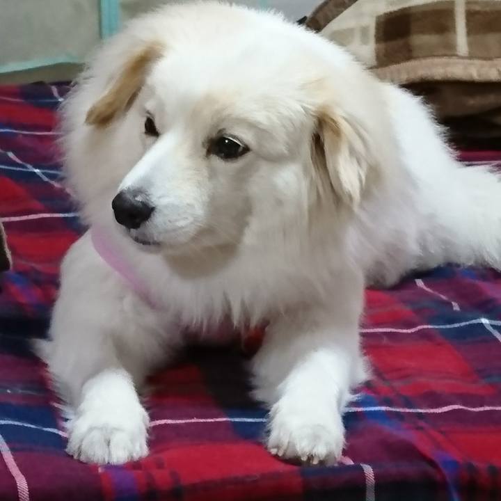 Ad20bb75 e9c9 43ba bf79 1c665c4fdeb0 1518126981138