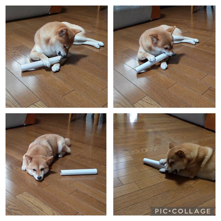 Ad20fd2d 67a4 43cb 9da9 8fe55f9ce11a 1685008694975