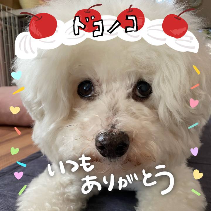 Ad2106d2 0cda 40de 9df4 8491811e164c 1685932774809