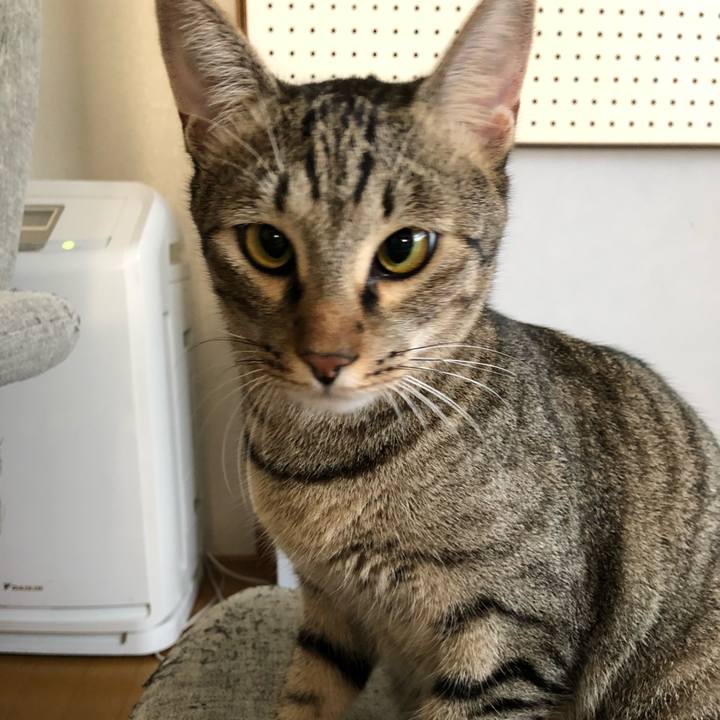 Ad21323a 79e0 4495 8b7c 79d7bf668ed0 1533556879336