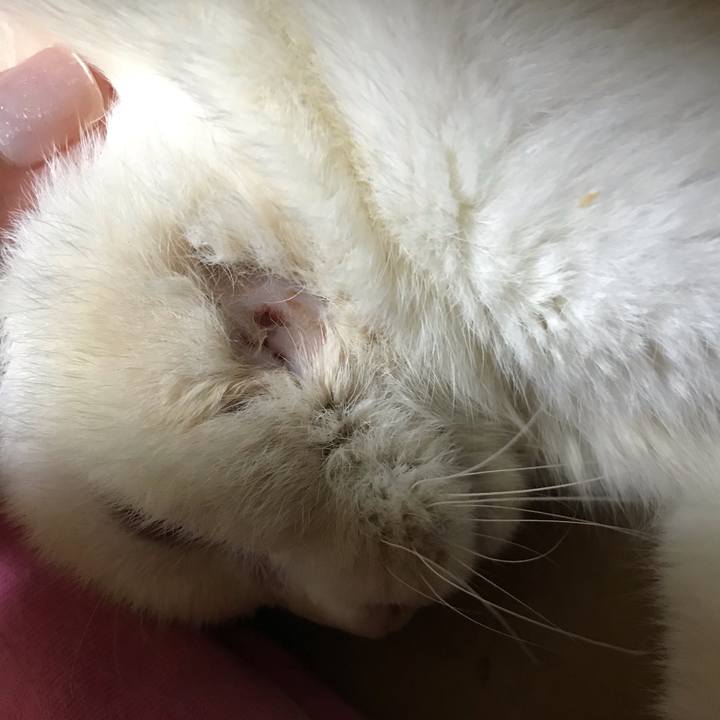 Ad215cc5 13a1 4a6a bf45 ad1354e70bf2 1590319250597