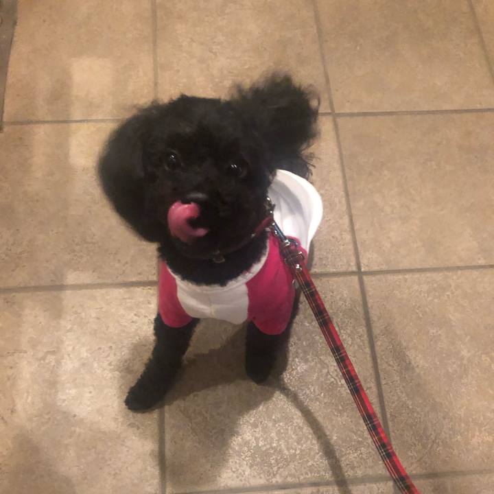 Ad219e4b 9a81 490c a1fb 3084a3c4315e 1590805864841