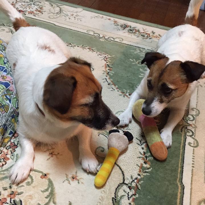 Ad21a58f 2411 4fde 8e27 50bf5bdee49c 1558362829873