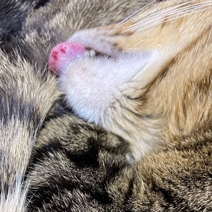 Ad21ae8e 06ba 4765 b5a7 2a5f773fc68a 1609412677014