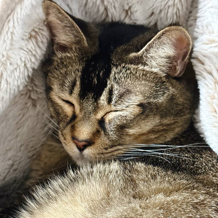 Ad21b4fa 0b91 4e5f bffd 6d49ef9079ac 1765890751764