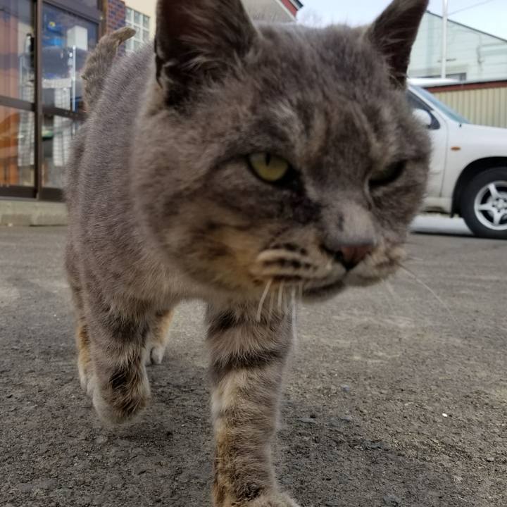 Ad21cc3b 0e87 4fd6 a4bd 844999ded86a 1521674855491