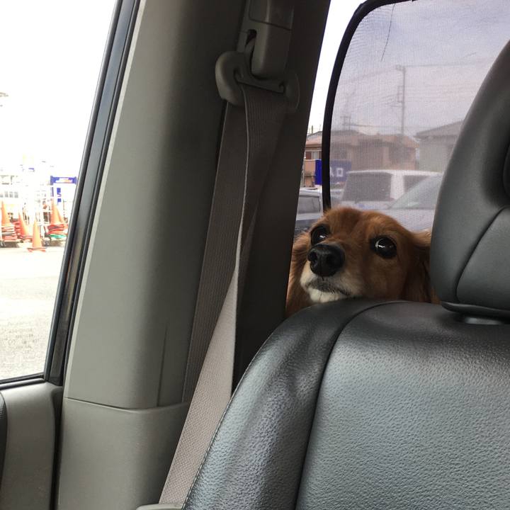 Ad21f342 dde6 42cc 97eb ea49a2dc150e 1588596146935