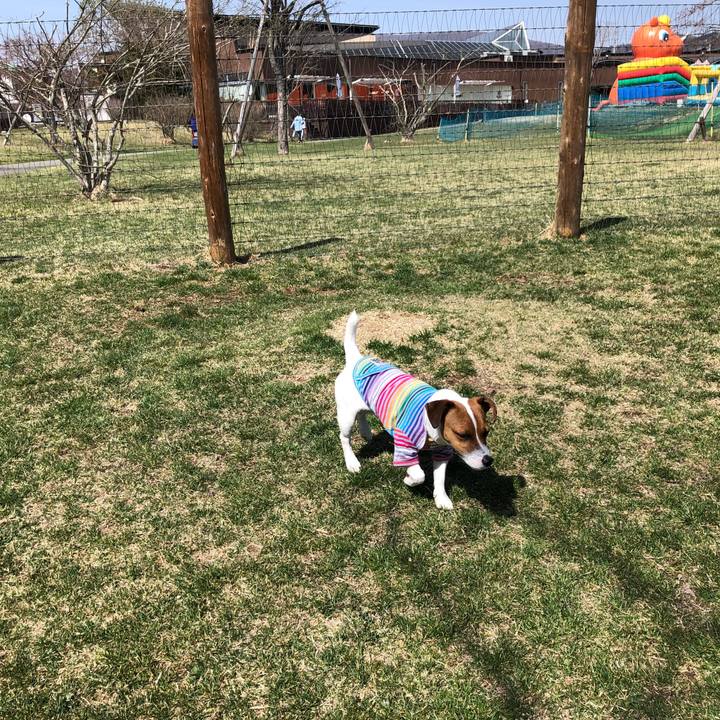 Ad220862 0cc5 4035 99e2 7cb700d0d97e 1523342514133