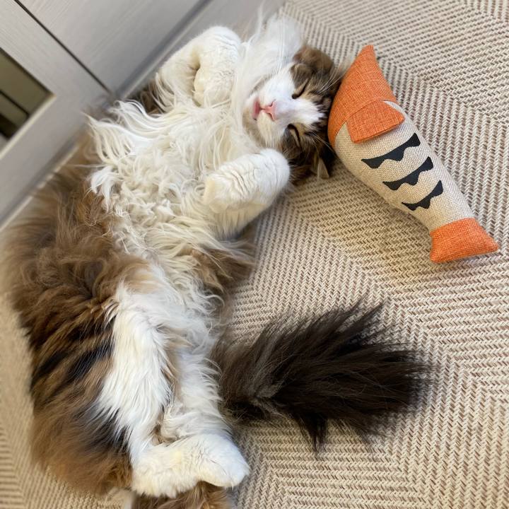 Ad222422 1f9a 447b ae48 0c89556df57b 1680404900190