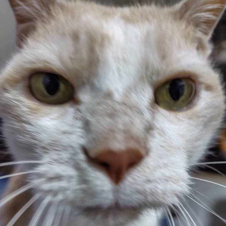 Ad22da3d c608 4216 98ef fb0b54f2b4d0 1741179886799