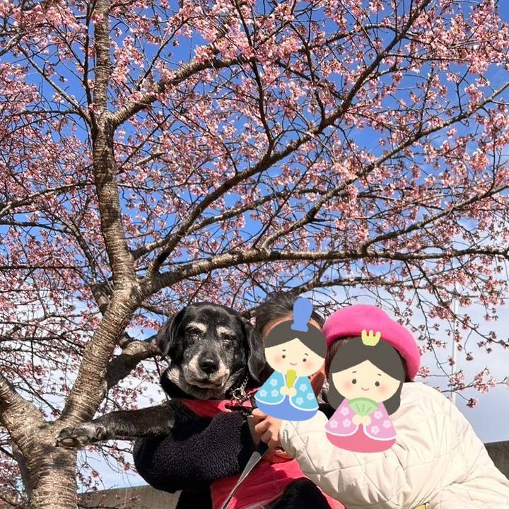 Ad22ea1b 3efb 4084 bdd6 7b35612e8a51 1740736845718