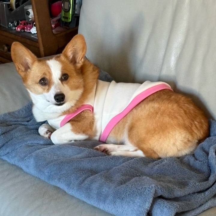 Ad233d13 b325 4c29 857e 7a19adb7e5c1 1772673962414