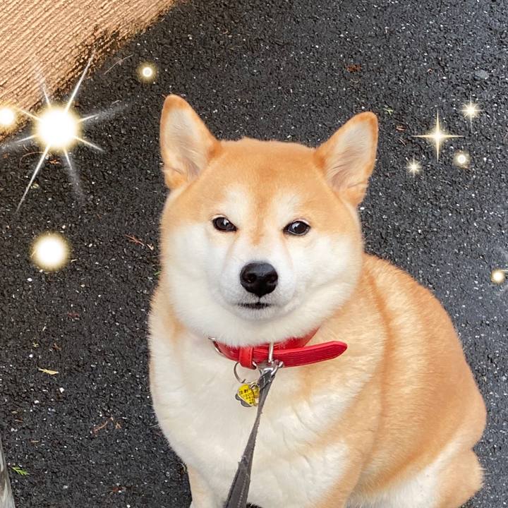 Ad23911d d8e8 4982 9f0c 22562919707c 1576849004486