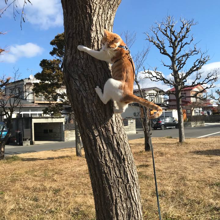 Ad23b564 d2b6 475f 8d06 0dab9ea6755e 1515894099960