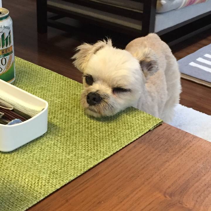 Ad23b7cd 61d5 499c a739 37f2a37290a8 1562235499956