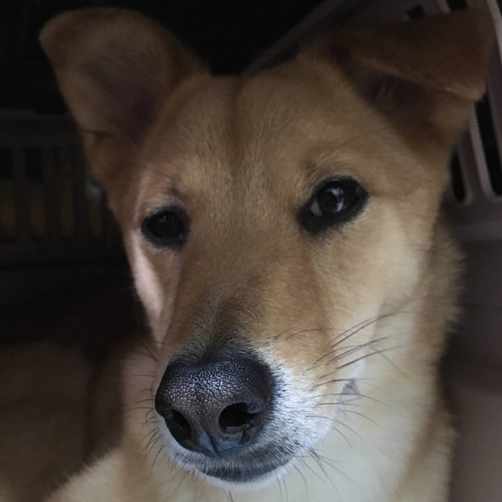 Ad246a27 6382 4508 b5ed 55ae0b7f4bcb 1523714706357