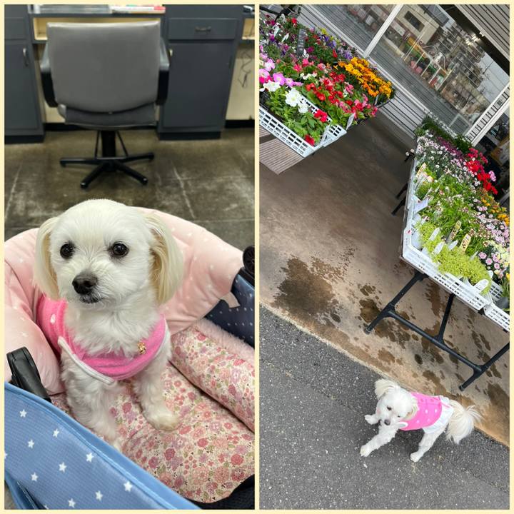 Ad247189 bbf8 4a3b 9e09 29b7cf13e8bc 1681788138147