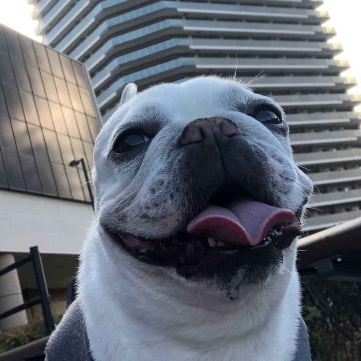 Ad24a3c9 a584 493c a64a e108e6273206 1650676657829