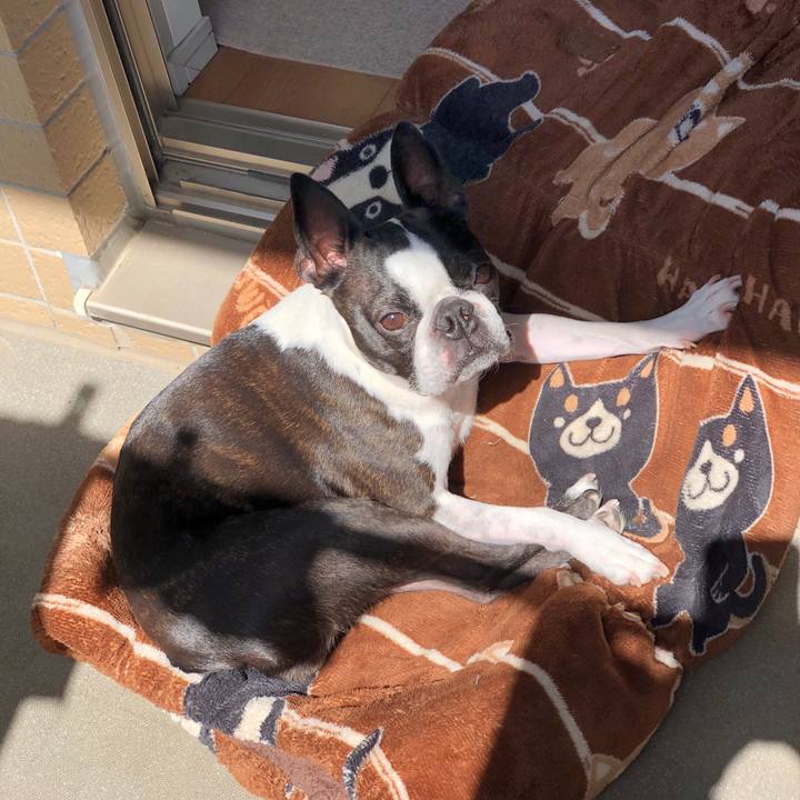 Ad24c2e4 f418 41ac bc06 85cb917fd6df 1711849219776