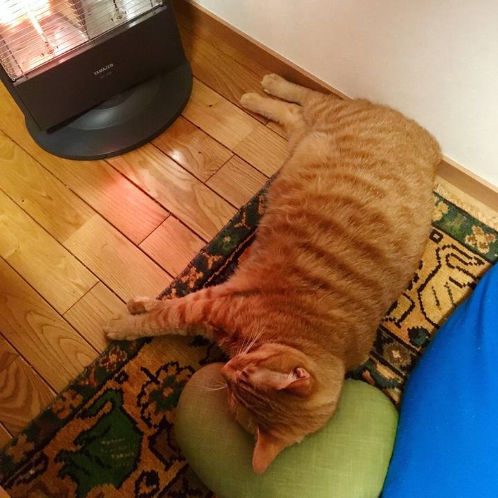 Ad24d08f f3d8 497c 8198 619c0af72306 1544924713514