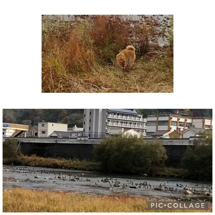 Ad24dd83 6499 4db2 8016 29d6e4164fd4 1763642635375